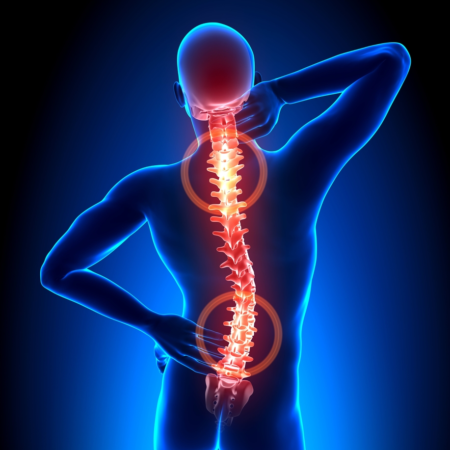 Low Back Pain Clinical Perspectives - Saanich Physio + Sports Clinic