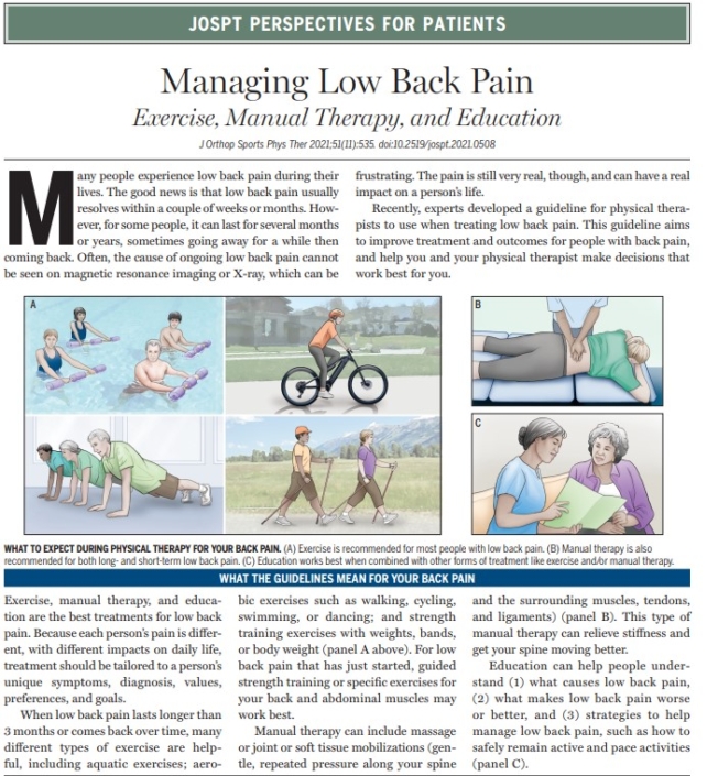 Low Back Pain Guidelines for Patients - Saanich Physio + Sports Clinic